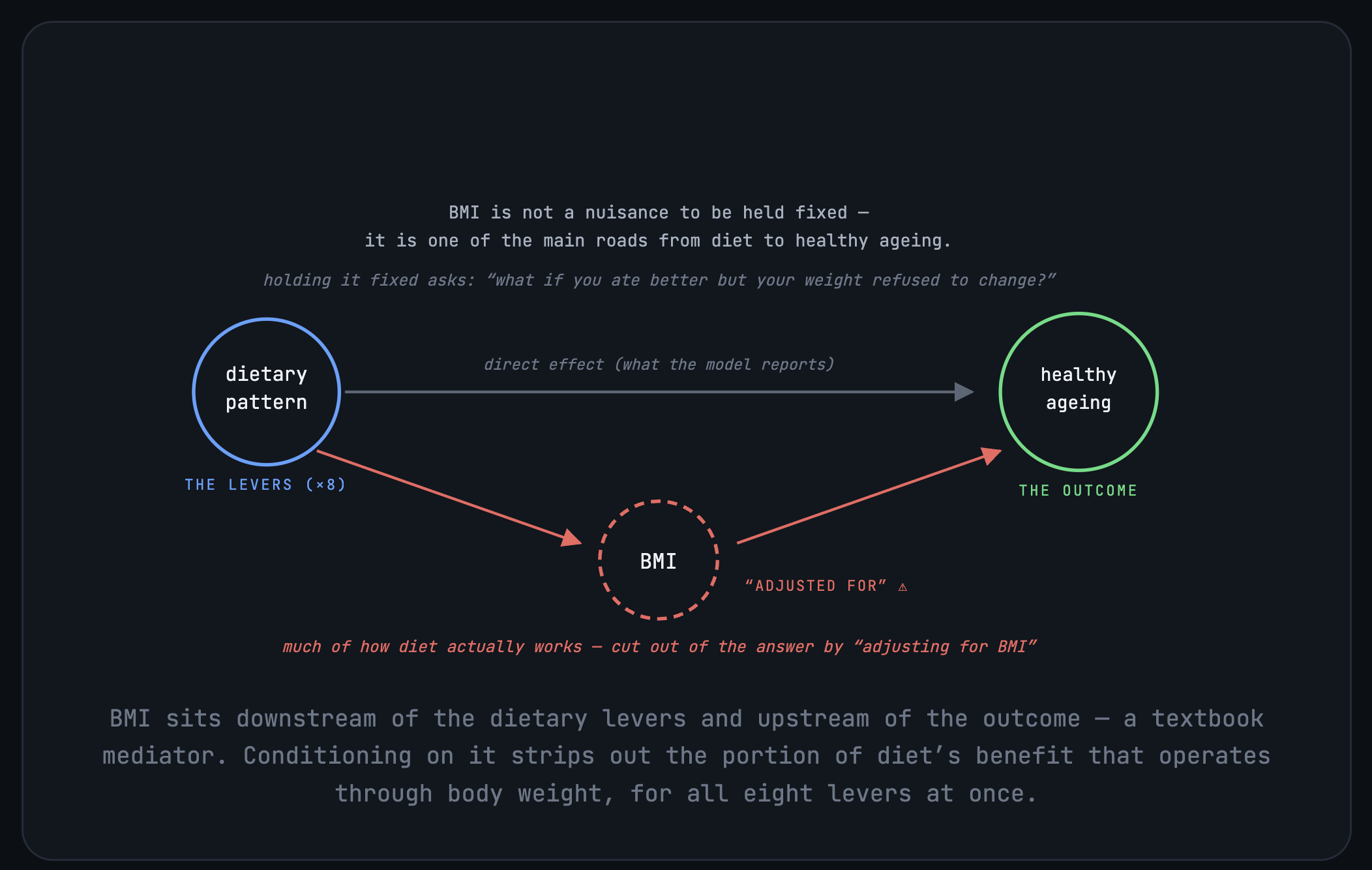 Causal diagram of the dietary study. The dietary patterns point to healthy ageing directly, but also run through BMI, which sits downstream of the levers and upstream of the outcome. Conditioning on BMI strips out the part of diet's benefit that works through body weight, for all eight levers at once.